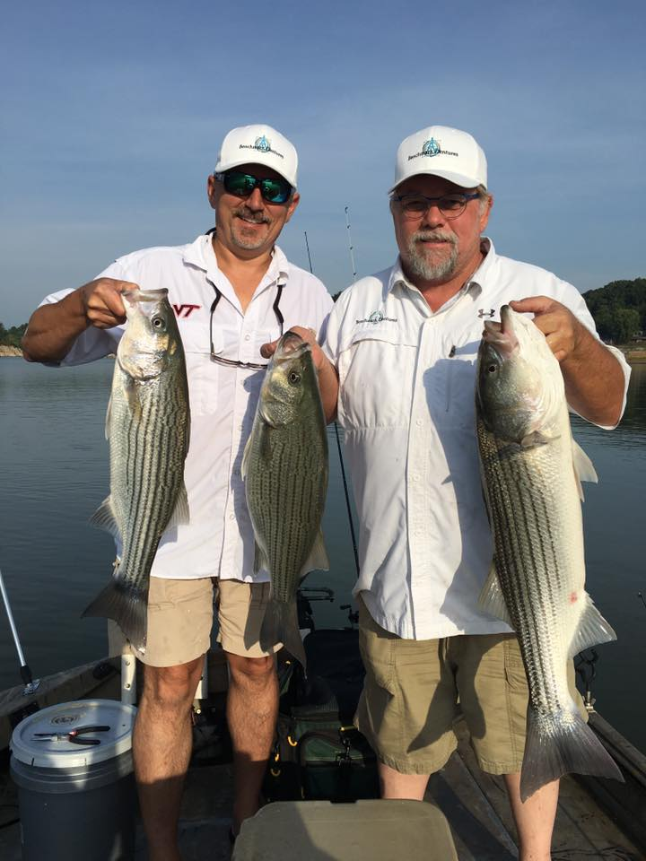 Striped Bass Fishing In Tennessee 